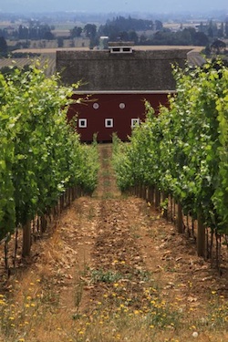 winery photo